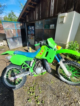  Kawasaki Kdx