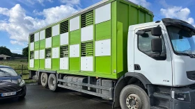 Renault Premium 410 - ЖИВОТНОВОЗ, снимка 3