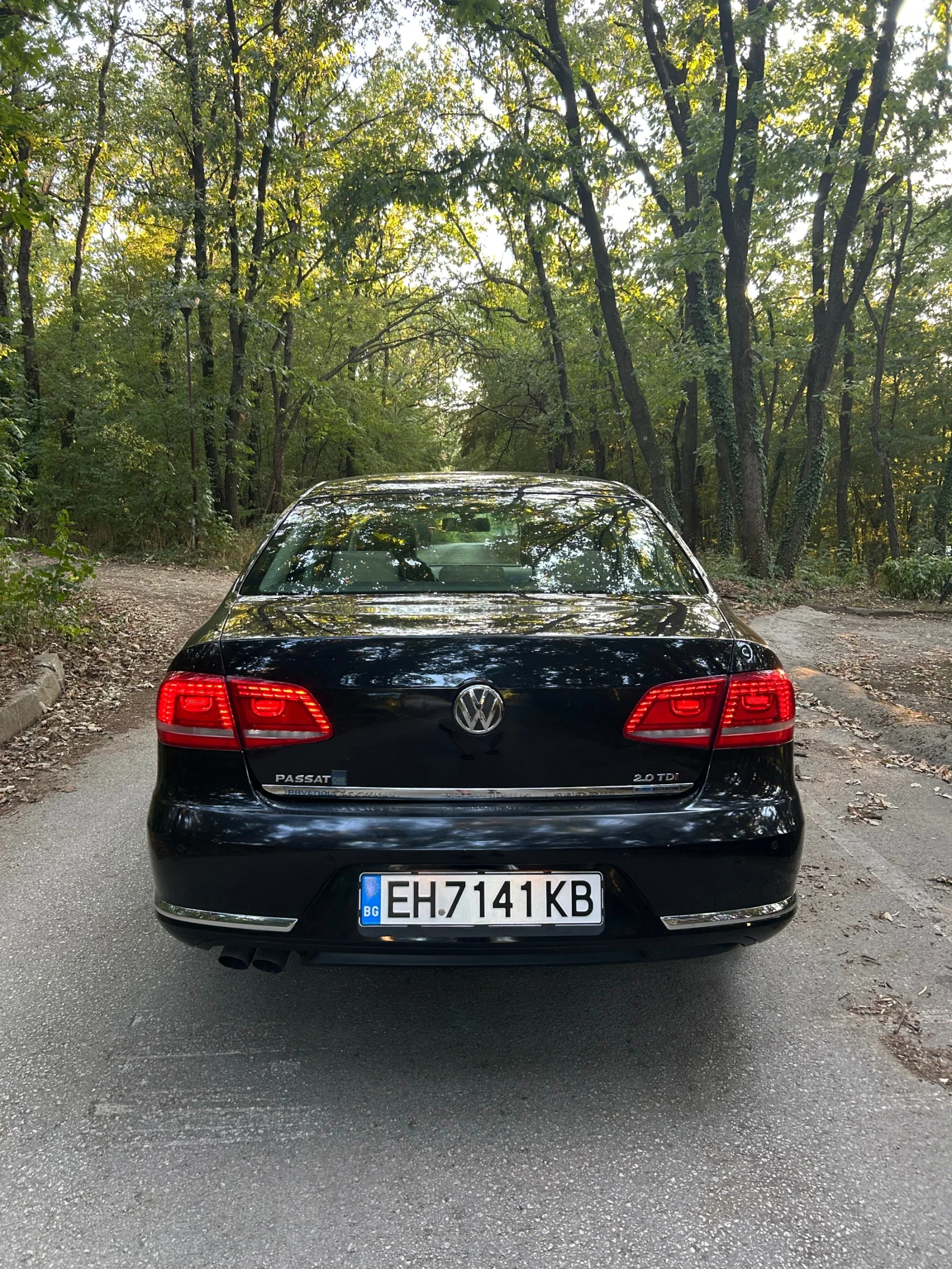 VW Passat  - изображение 5