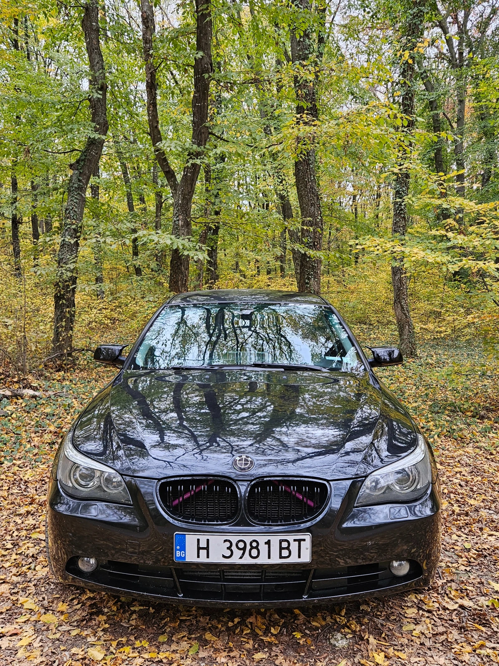 BMW 530 xd - изображение 2