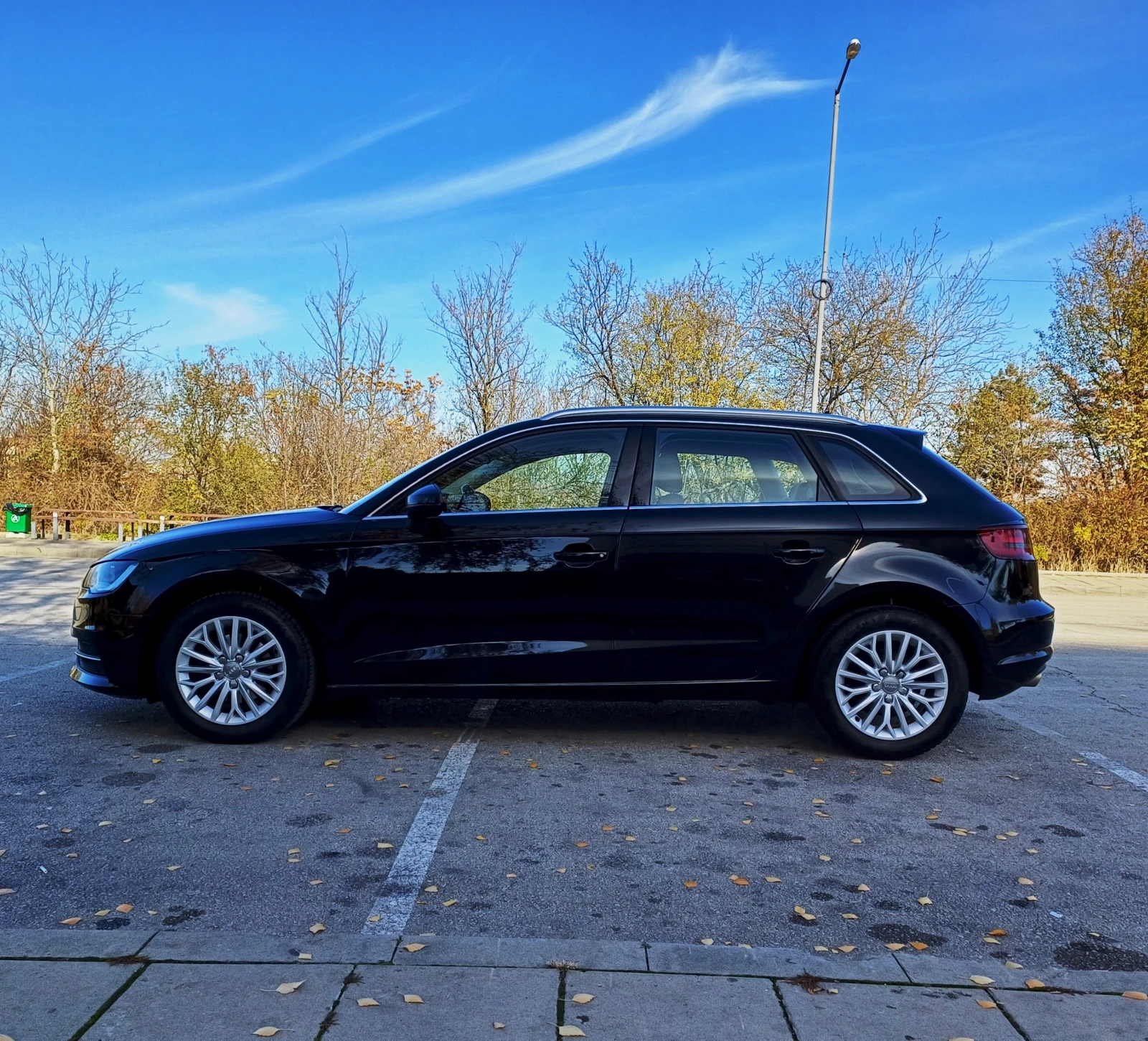 Audi A3 1.6TDI, Ambition, 6-скорости - изображение 7