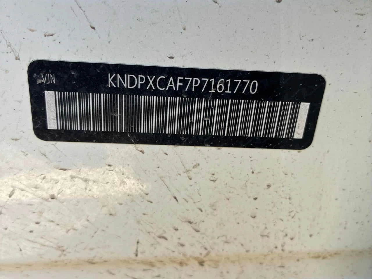 Kia Sportage X Line Limited  CARFAX, снимка 10 - Автомобили и джипове - 54148557