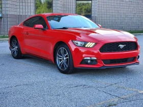 ������ Ford Mustang