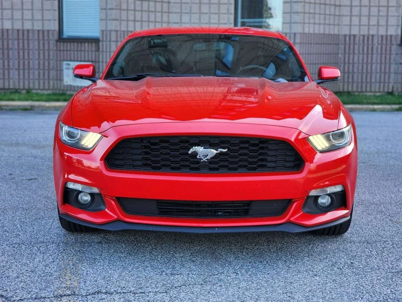 Ford Mustang * I4 Coupe * CARFAX * ���� �� �� | Mobile.bg � ����������� 2