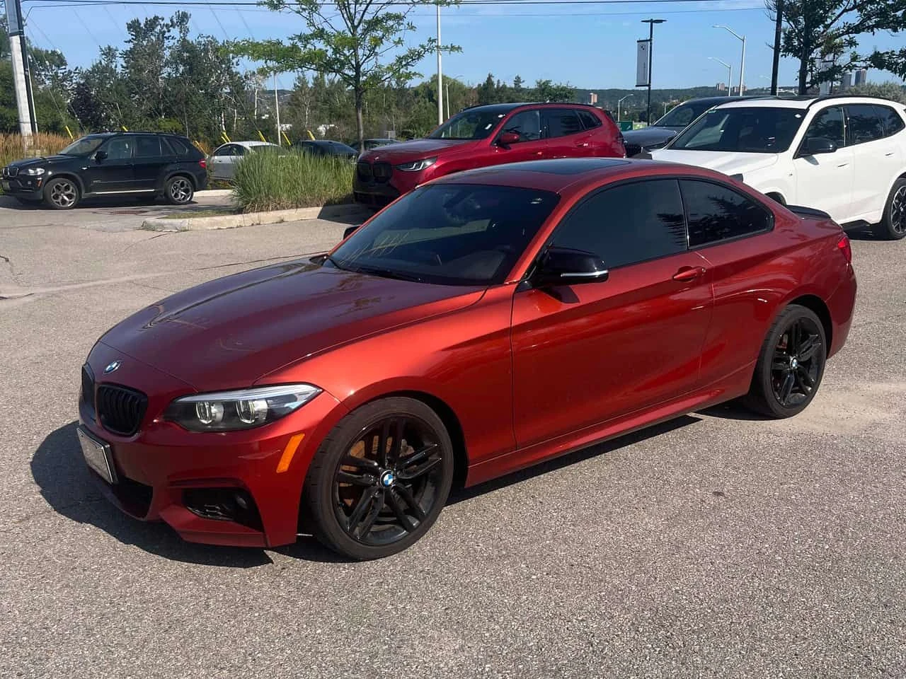BMW 230 * xDrive * CARFAX * ОПЦИЯ ЗА ФИНАНСИРАНЕ , снимка 10 - Автомобили и джипове - 55629080