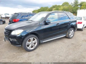  Mercedes-Benz ML 350