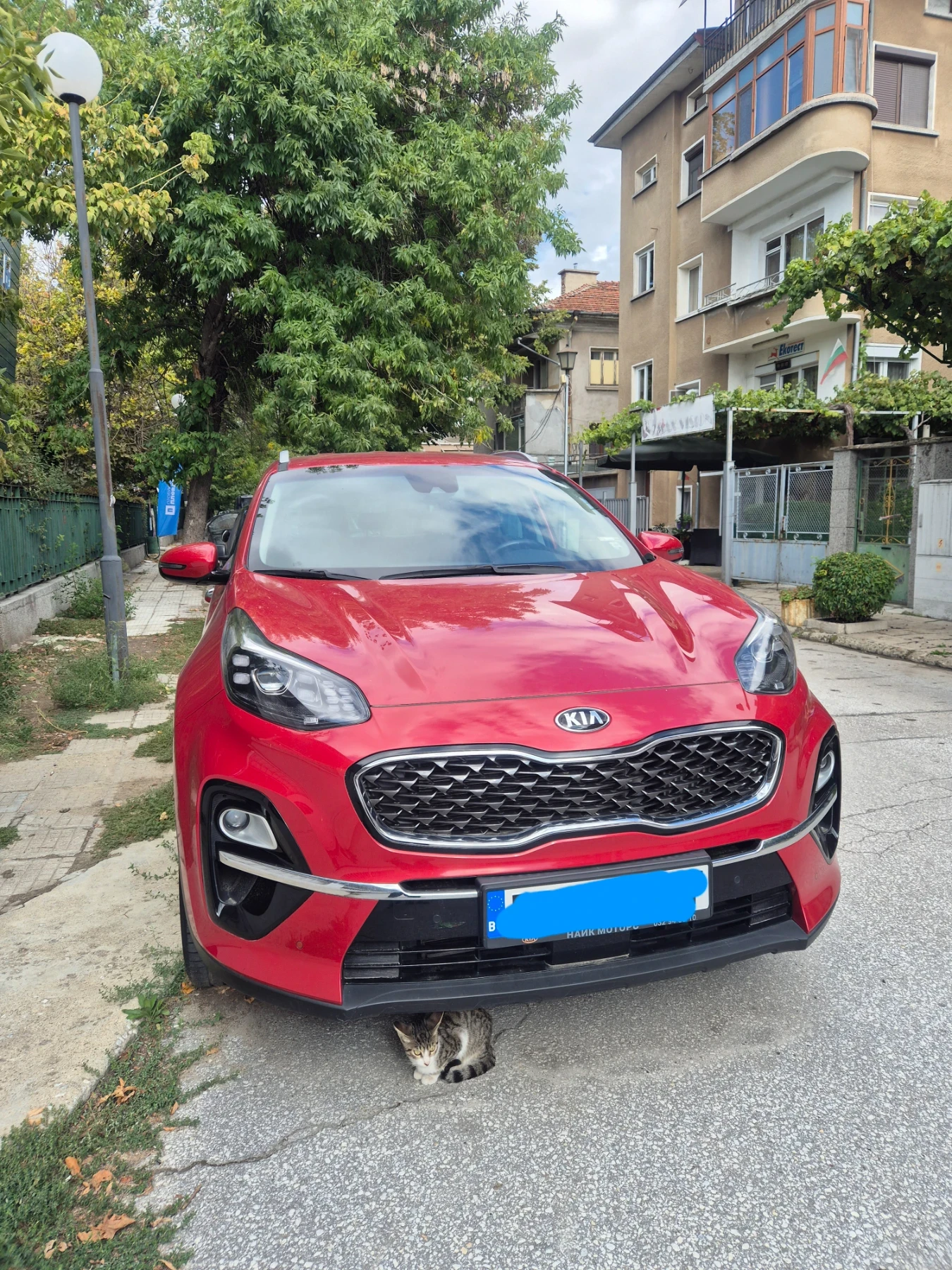 Kia Sportage Facelift - изображение 2