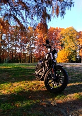 Harley-Davidson Sportster IRON 883, снимка 3