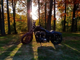 Harley-Davidson Sportster IRON 883, снимка 1