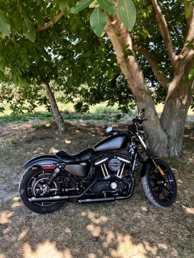 Harley-Davidson Sportster IRON 883, снимка 9