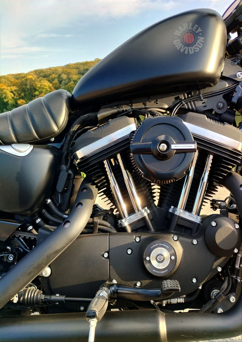 Harley-Davidson Sportster IRON 883, снимка 6 - Мотоциклети и мототехника - 46867027