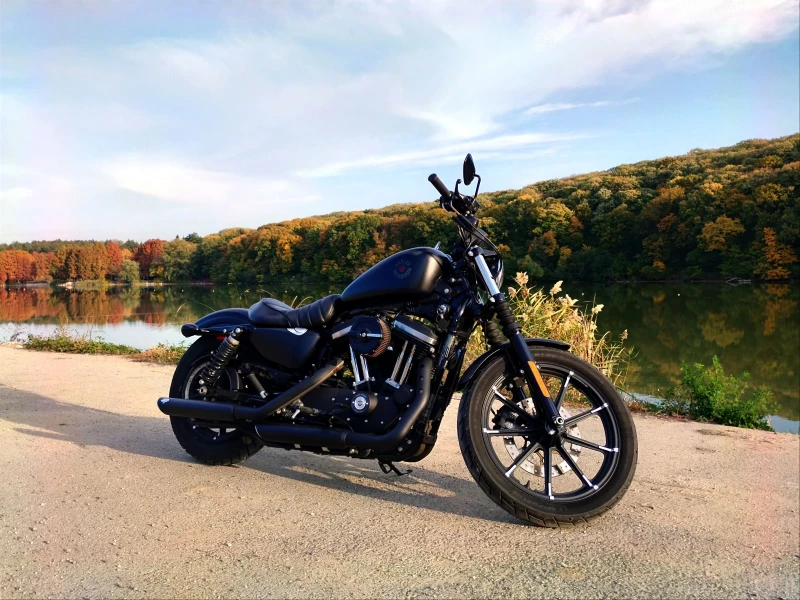 Harley-Davidson Sportster IRON 883, снимка 7 - Мотоциклети и мототехника - 46867027