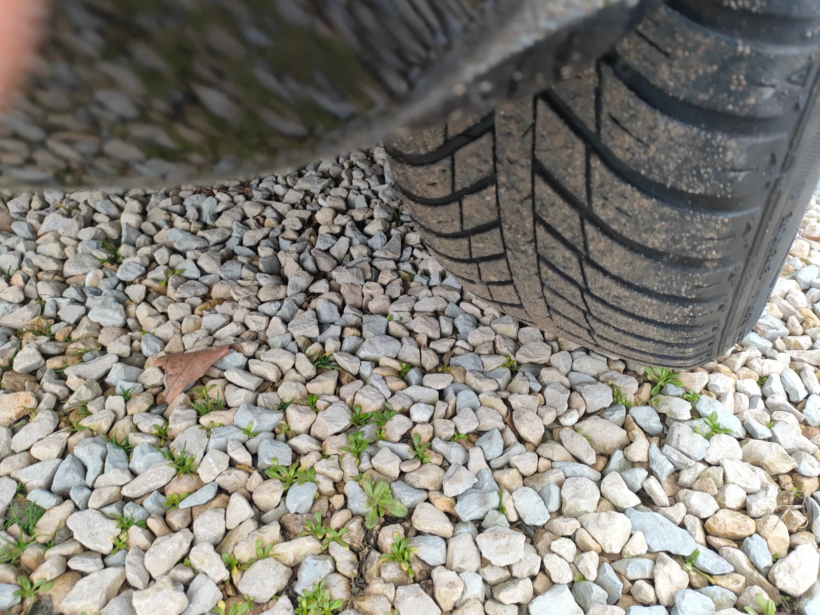 VW Golf 1.6 diesel-105ks.Itali | Mobile.bg � ����������� 17