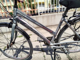    italy Olympia 28" 12.900 | Mobile.bg    4