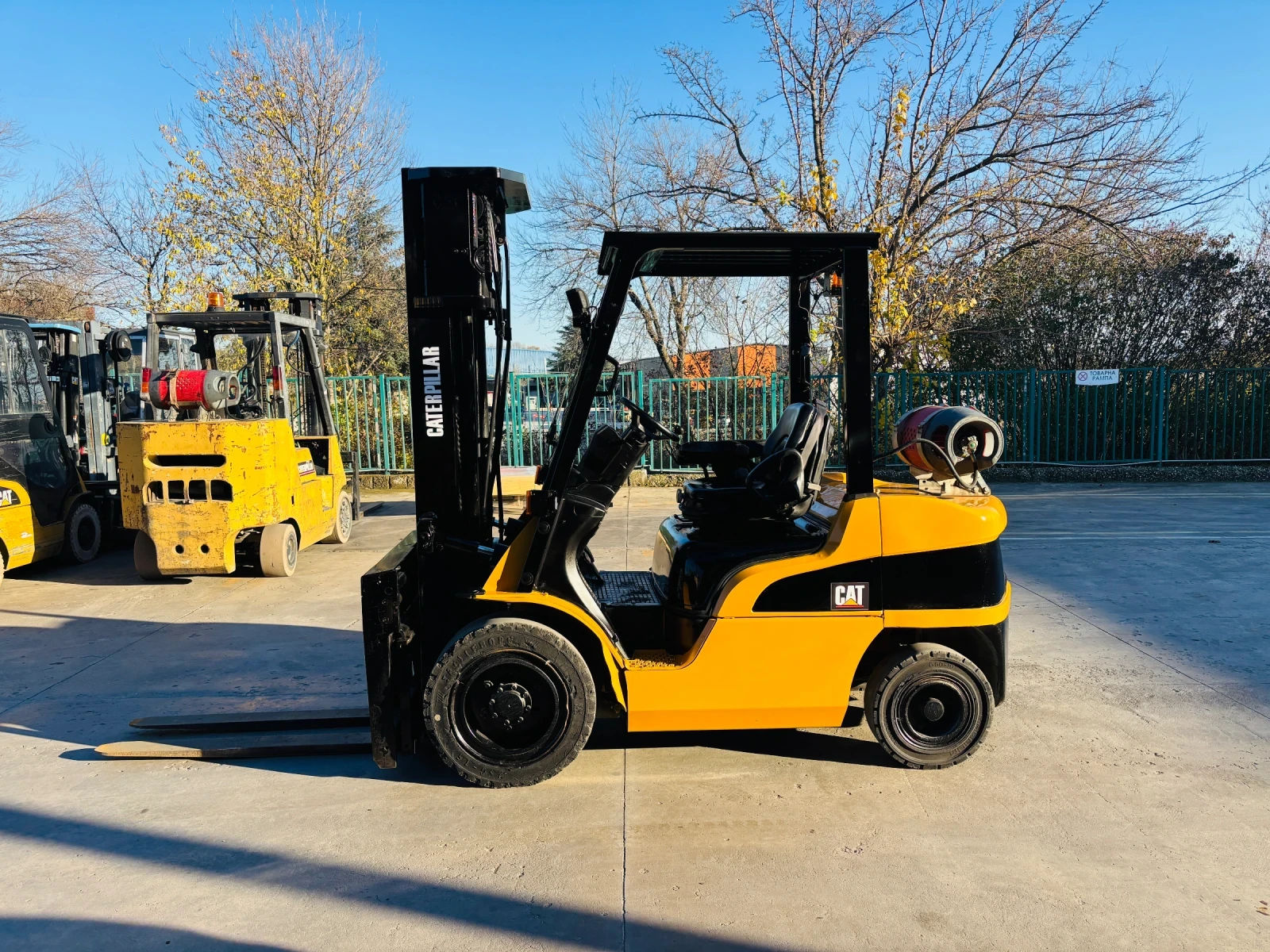  Cat  ,    | Mobile.bg   1