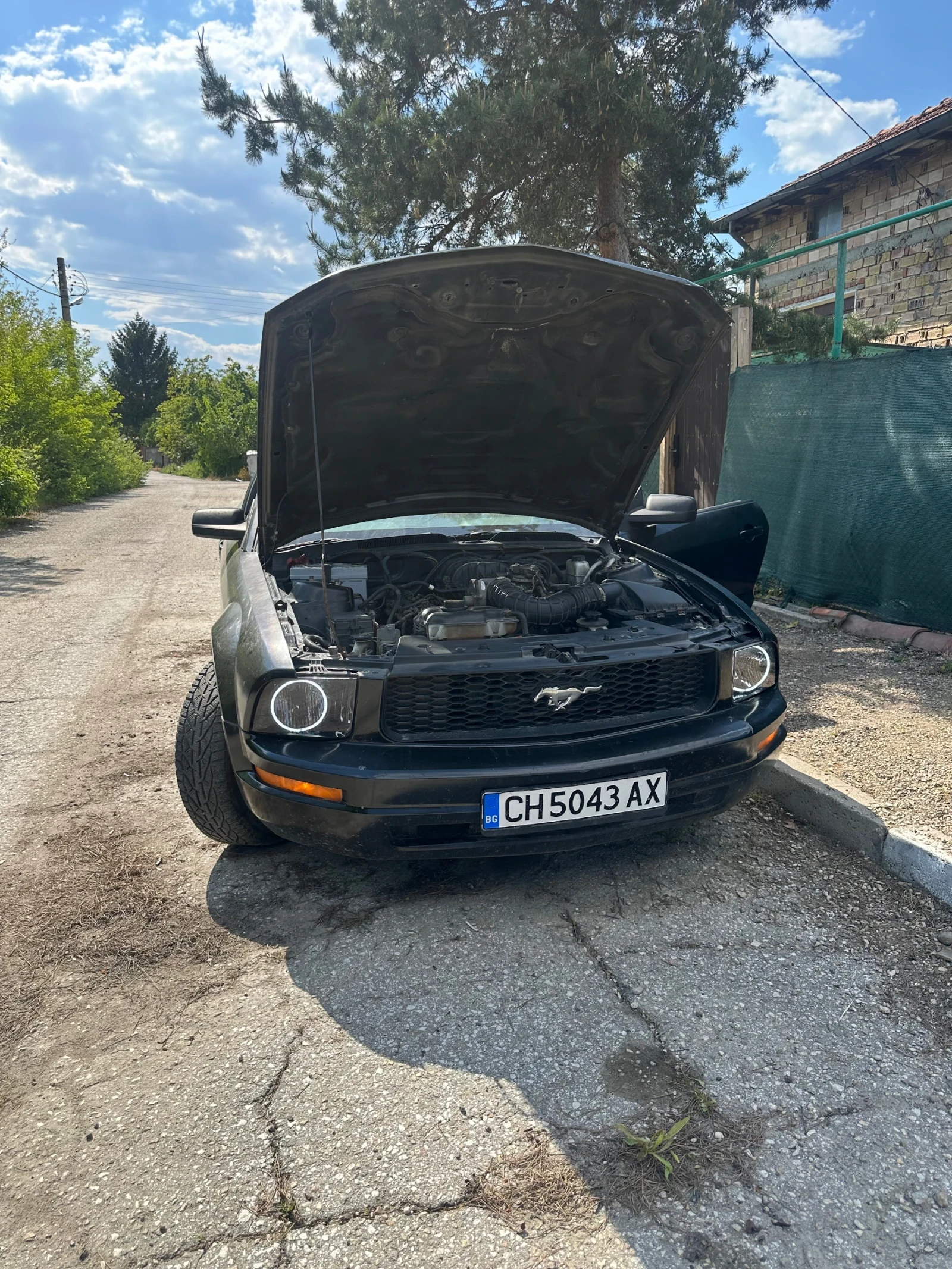 Ford Mustang, снимка 3 - Автомобили и джипове - 55230980