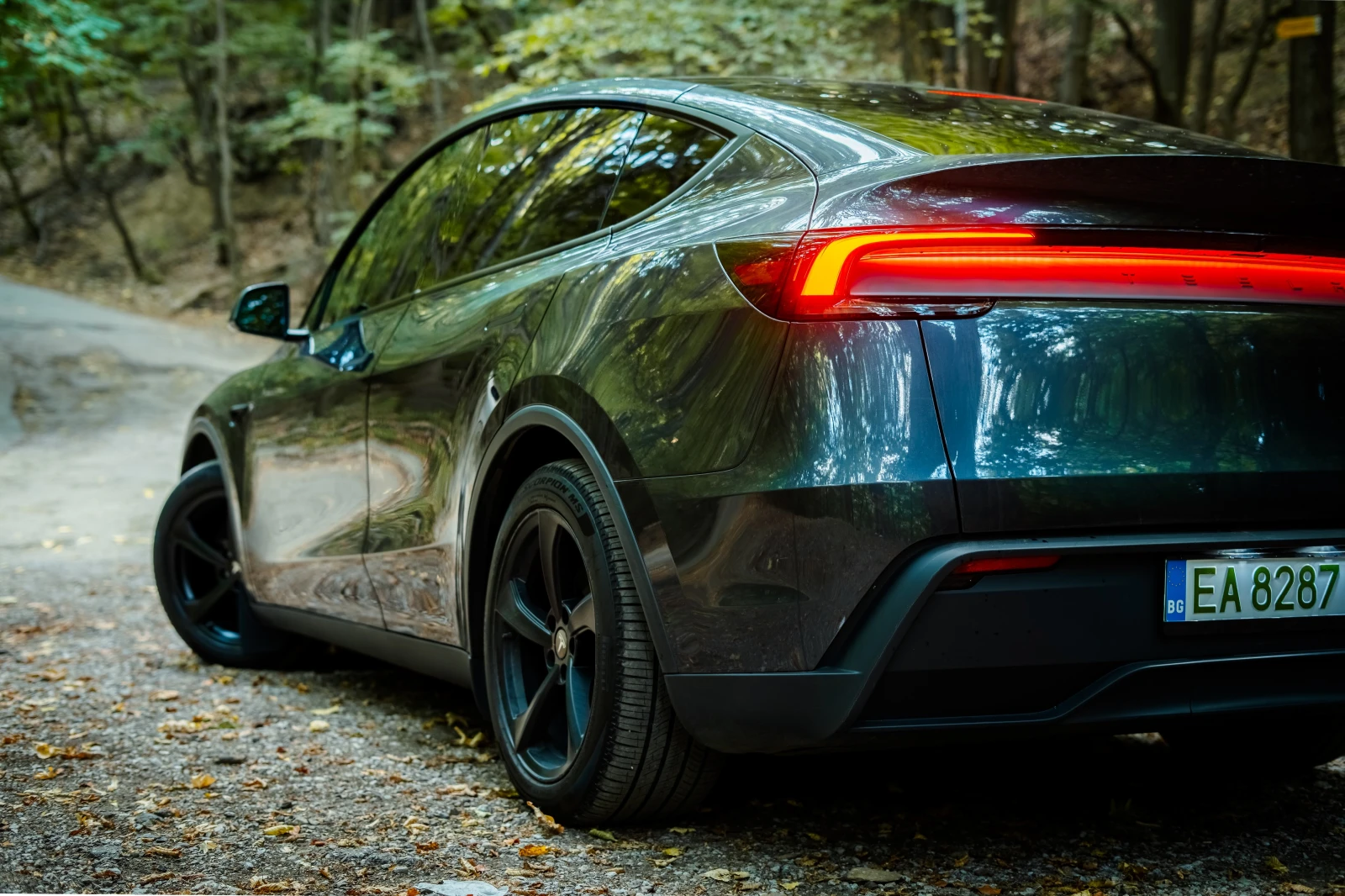 Tesla Model Y Premium Dual Motor, снимка 3 - Автомобили и джипове - 55920764