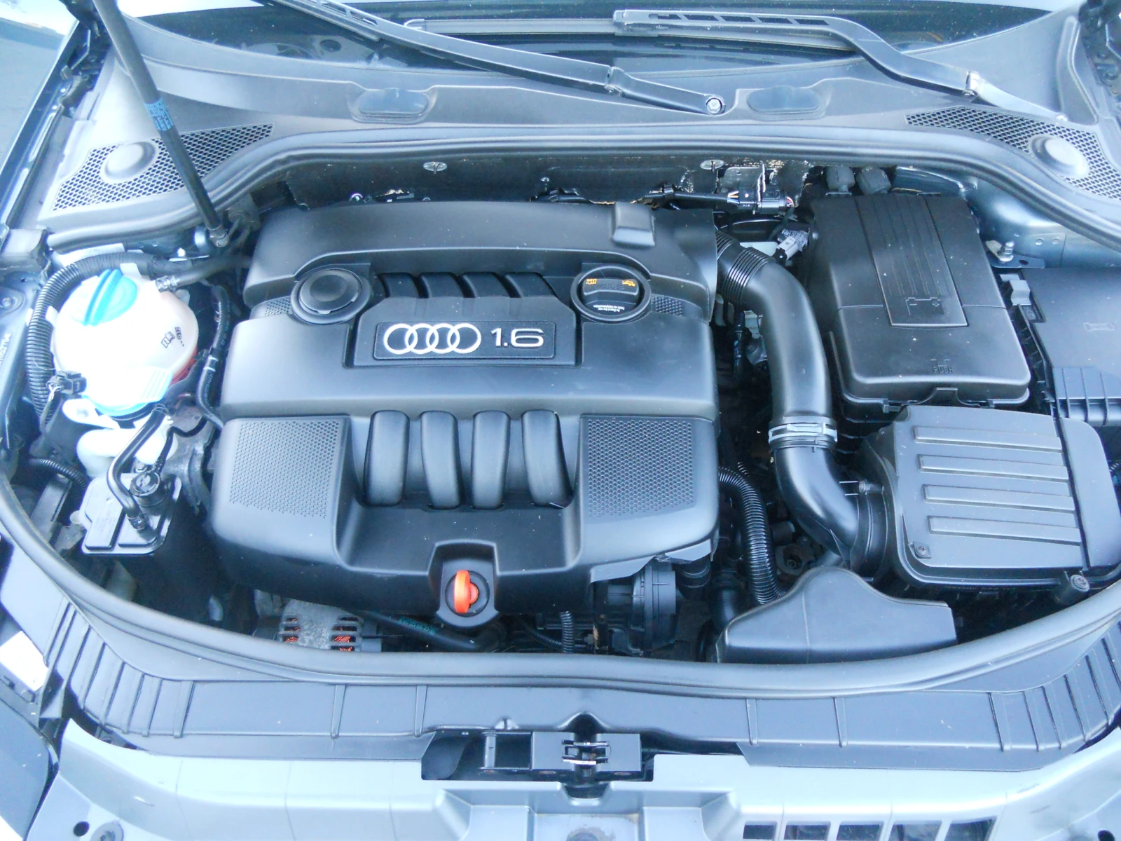 Audi A3 1.6i ЛИЗИНГ!!!! РЕАЛНИ КИЛОМЕТРИ+ СЕРВИЗНА ИСТОРИЯ, снимка 12 - Автомобили и джипове - 55991859