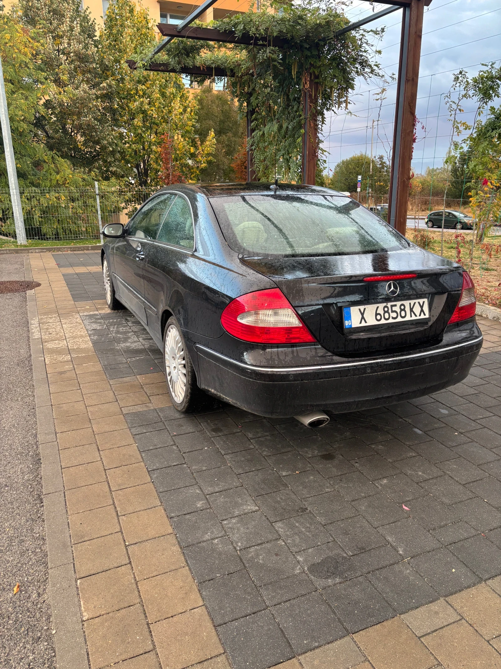 Mercedes-Benz CLK 220 CDI, снимка 5 - Автомобили и джипове - 56536203