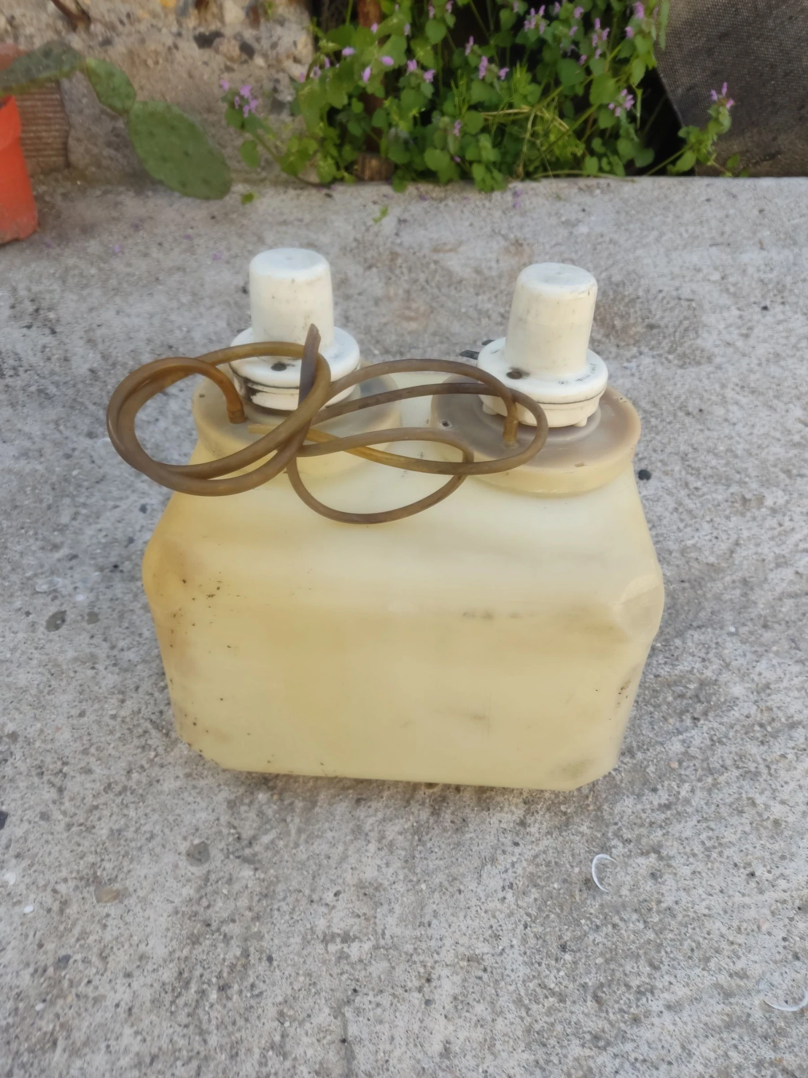 ������� �� �������� �� ���� � ��� ��������� | Mobile.bg � ����������� 10