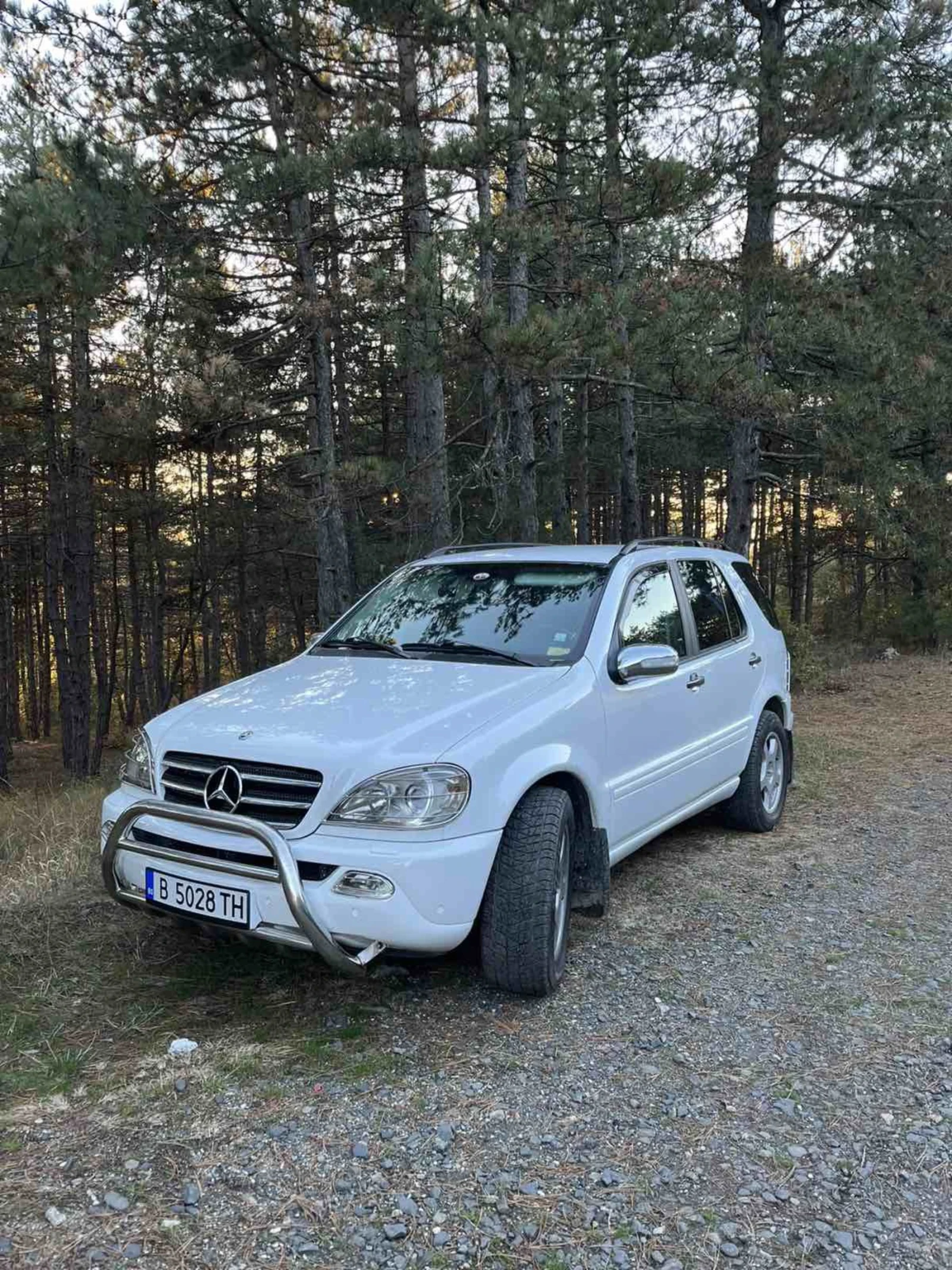 Mercedes-Benz ML 350, снимка 6 - Автомобили и джипове - 55385093