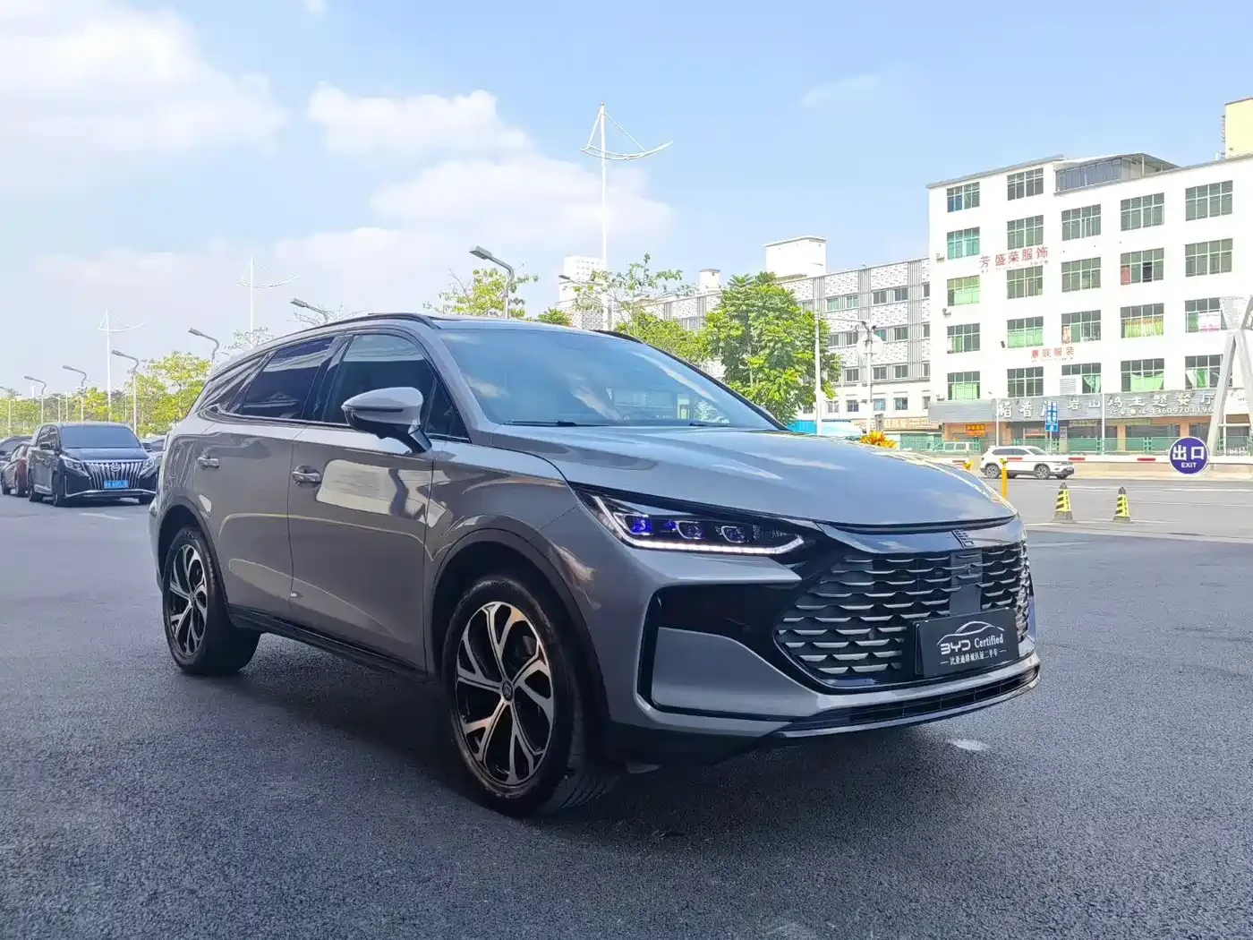 BYD Tang New Energy 2025 DM-i 115KM Prestige Type