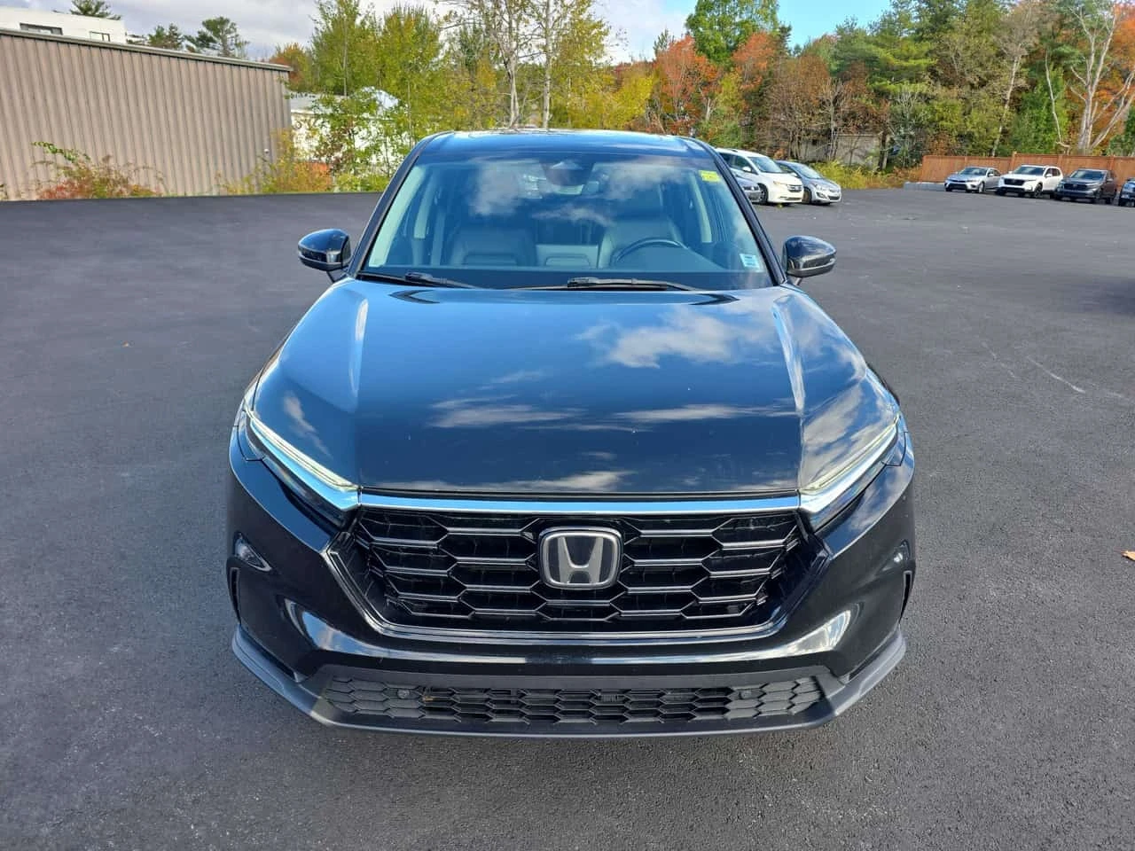 Honda Cr-v EX L/CARFAX/���������/�������/����/ | Mobile.bg � ����������� 2