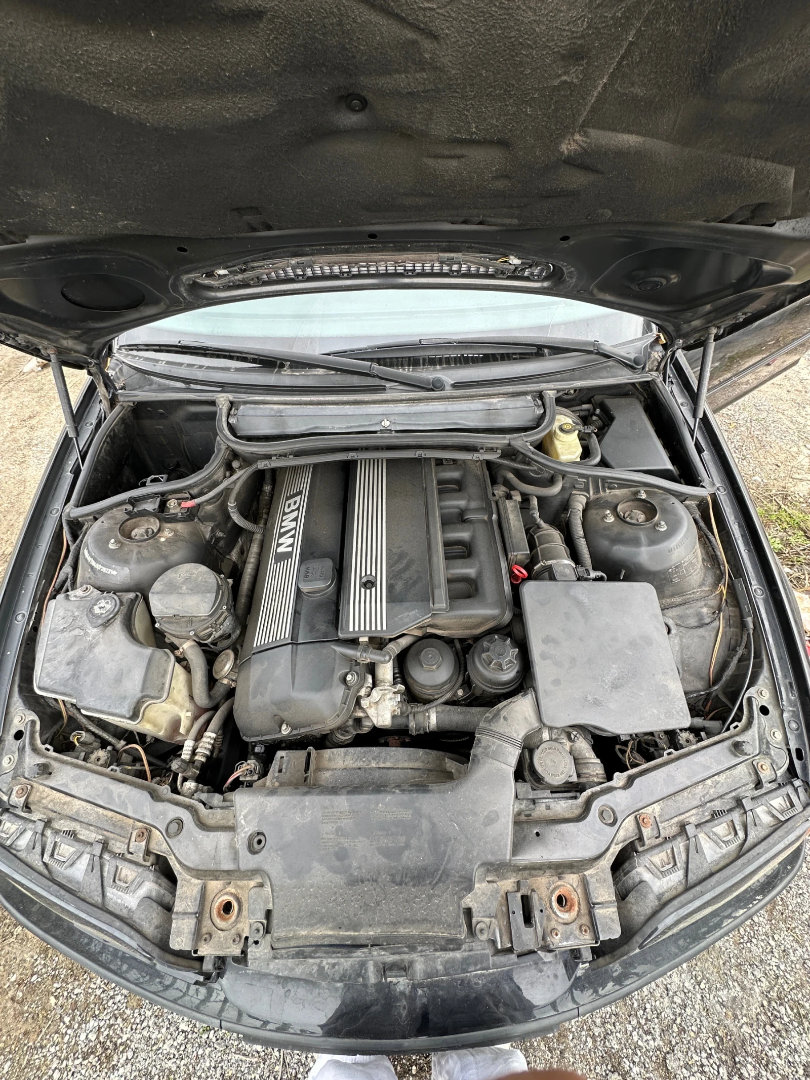 BMW 320 popkorn chip - изображение 7