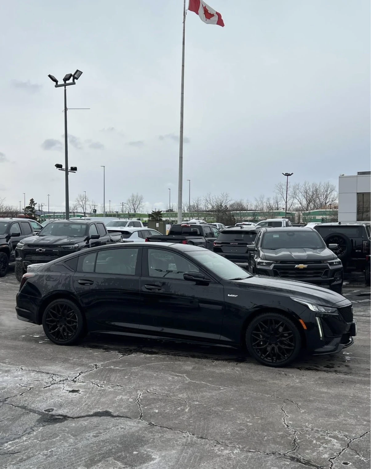 Cadillac CT6 CT5-V | Един Собственик | Обдухване | BOSE |  - изображение 2