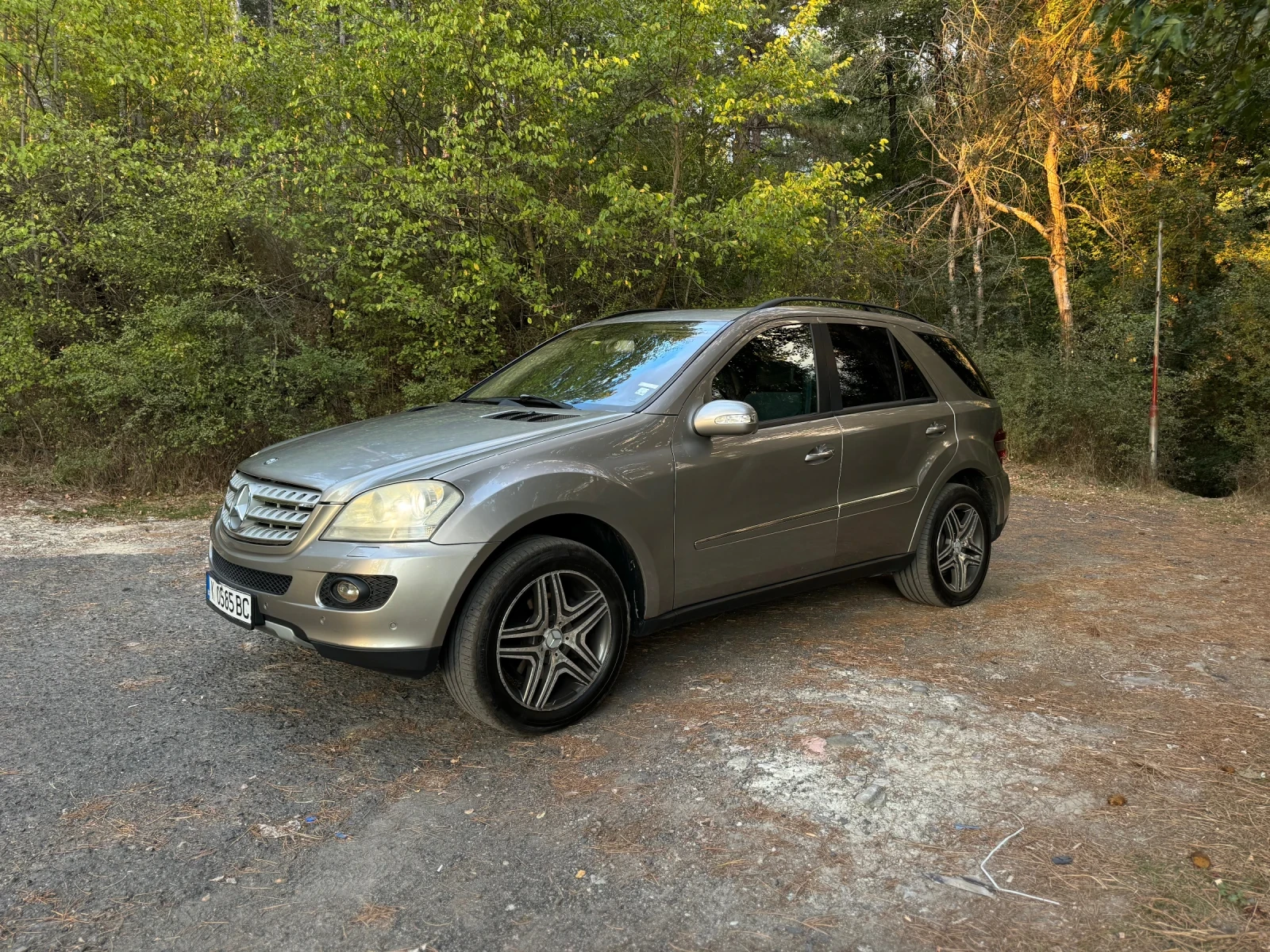 Mercedes-Benz ML 320  - изображение 3