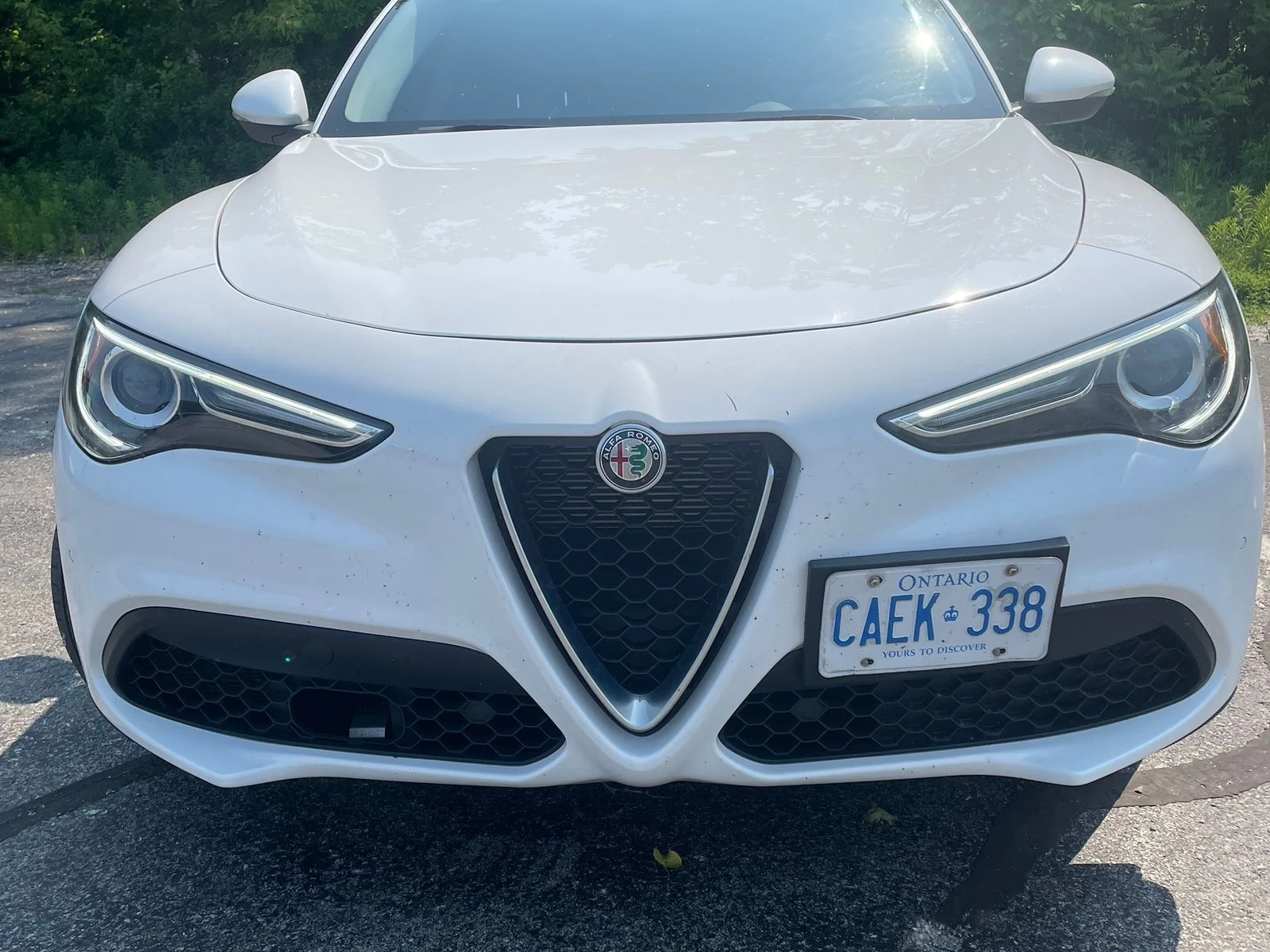 Alfa Romeo Stelvio * SPORT* * АвтоКредит*  - изображение 5