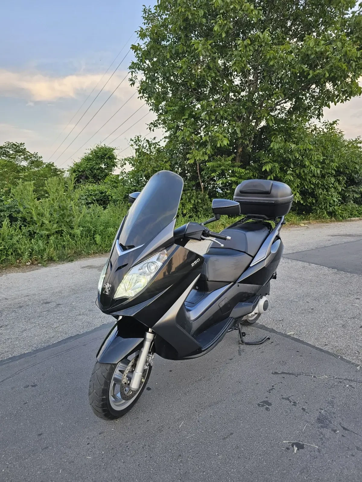 Peugeot Satelis 250  - изображение 8