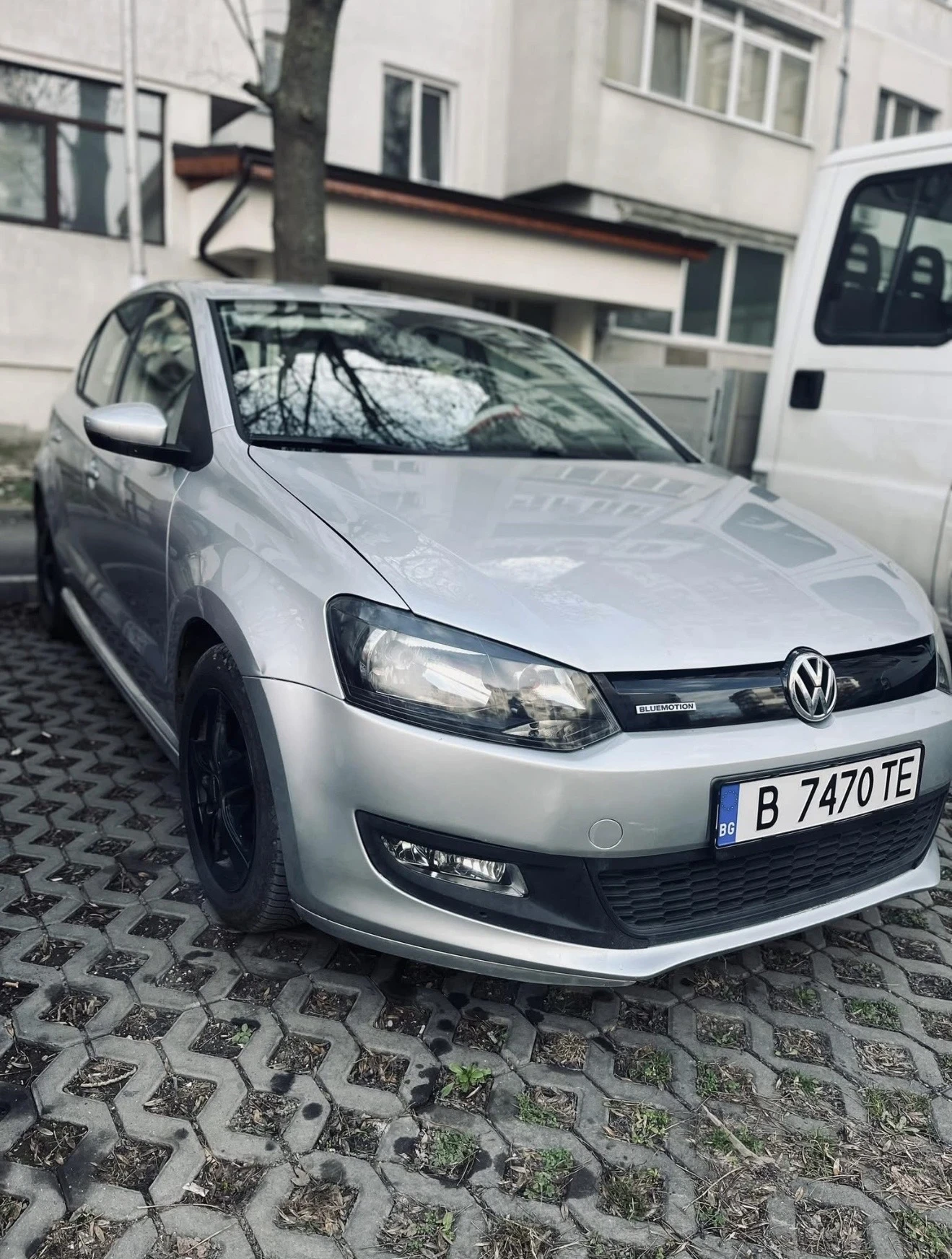 VW Polo