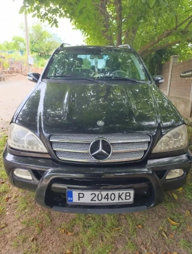 Mercedes-Benz ML 270 undefined | Auto.bg — изображение 2