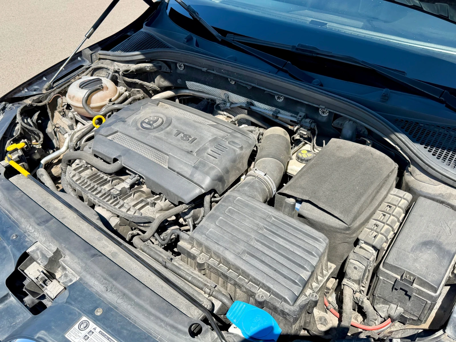 Skoda Octavia SCOUT 4x4 DSG6 , снимка 17 - Автомобили и джипове - 55692955