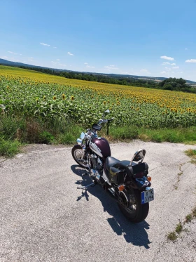 Honda Shadow VLX DeLuxe, снимка 4