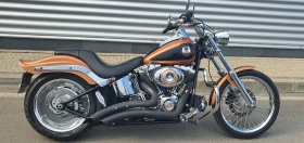     Harley-Davidson Softail