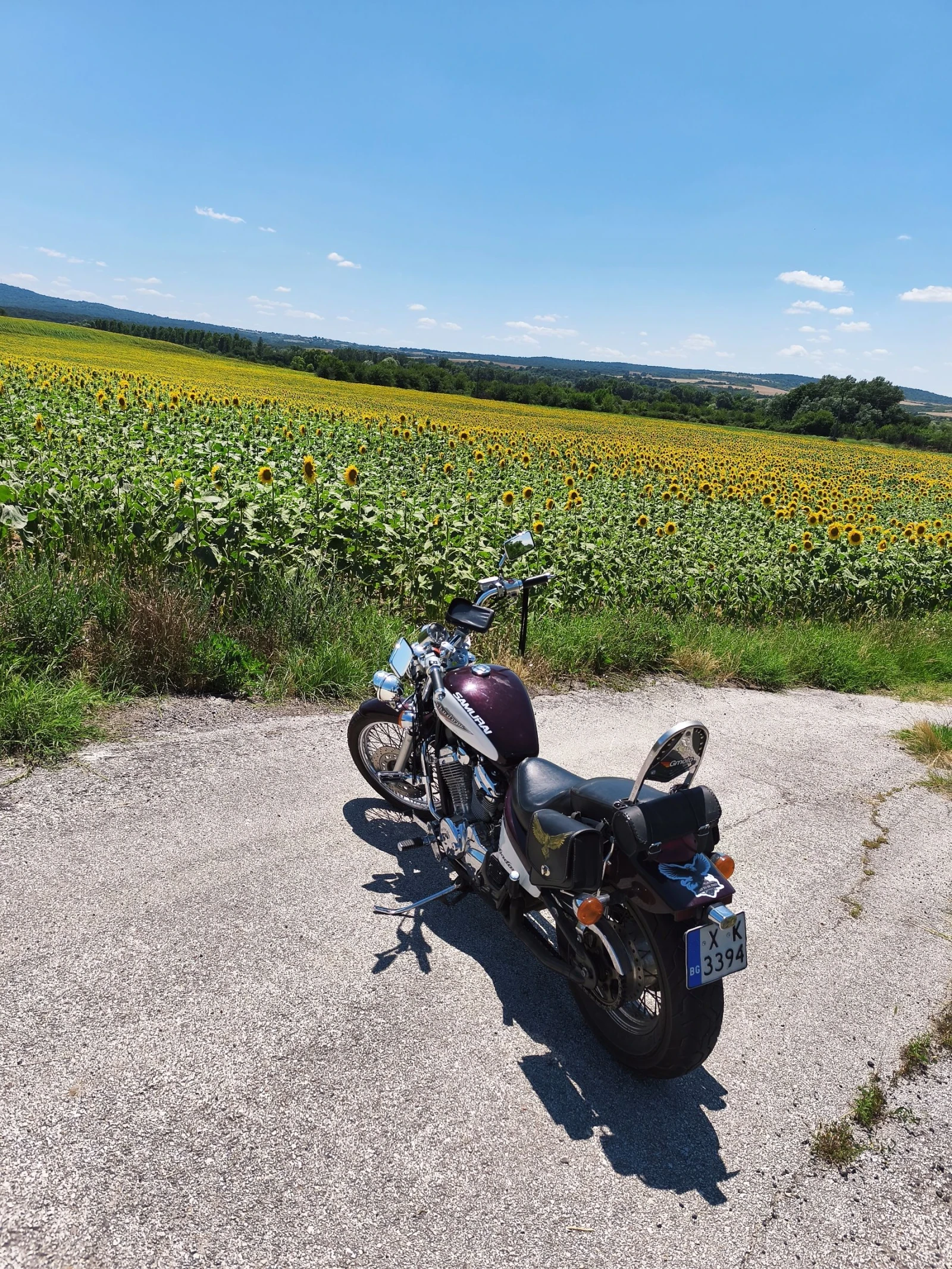 Honda Shadow VLX DeLuxe, снимка 4 - Мотоциклети и мототехника - 55408822