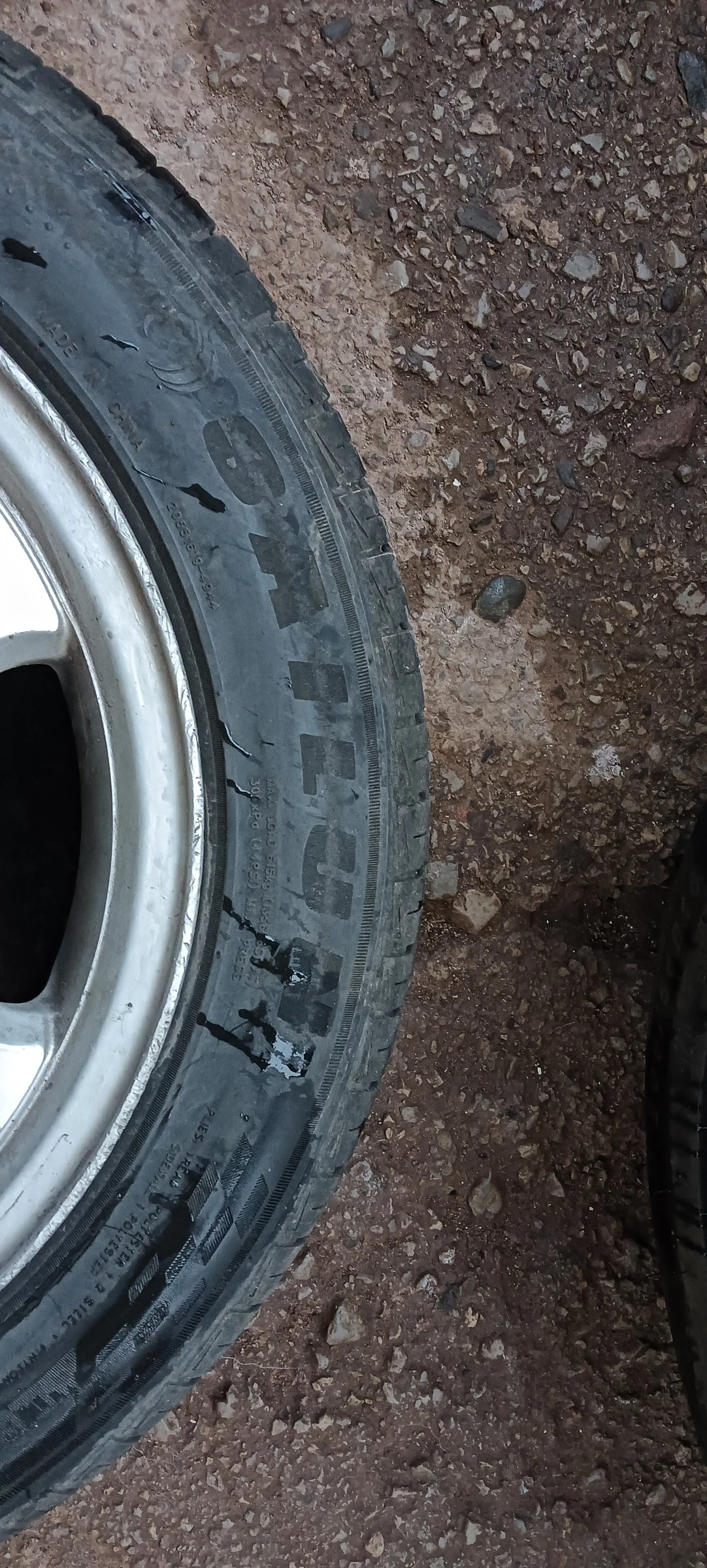���� � ������ 205/55R16 | Mobile.bg � ����������� 5