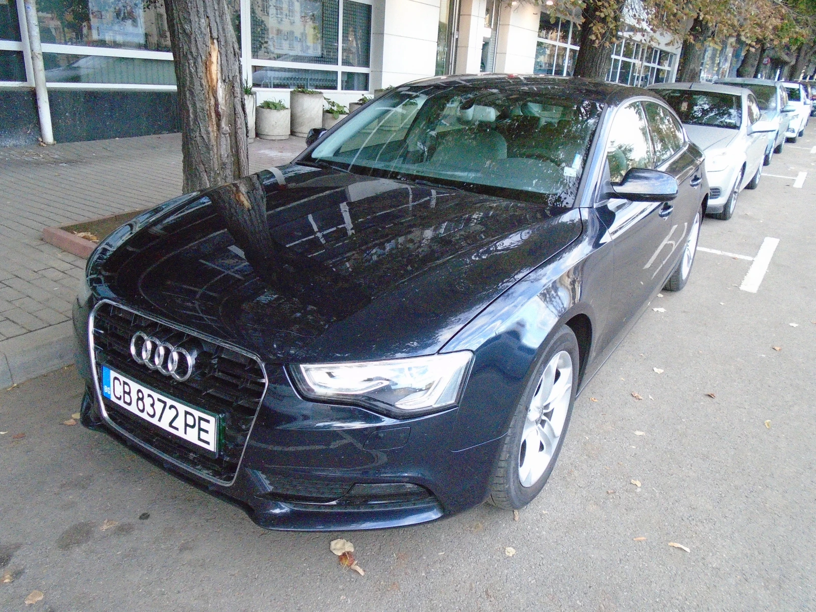 Audi A5  - изображение 2
