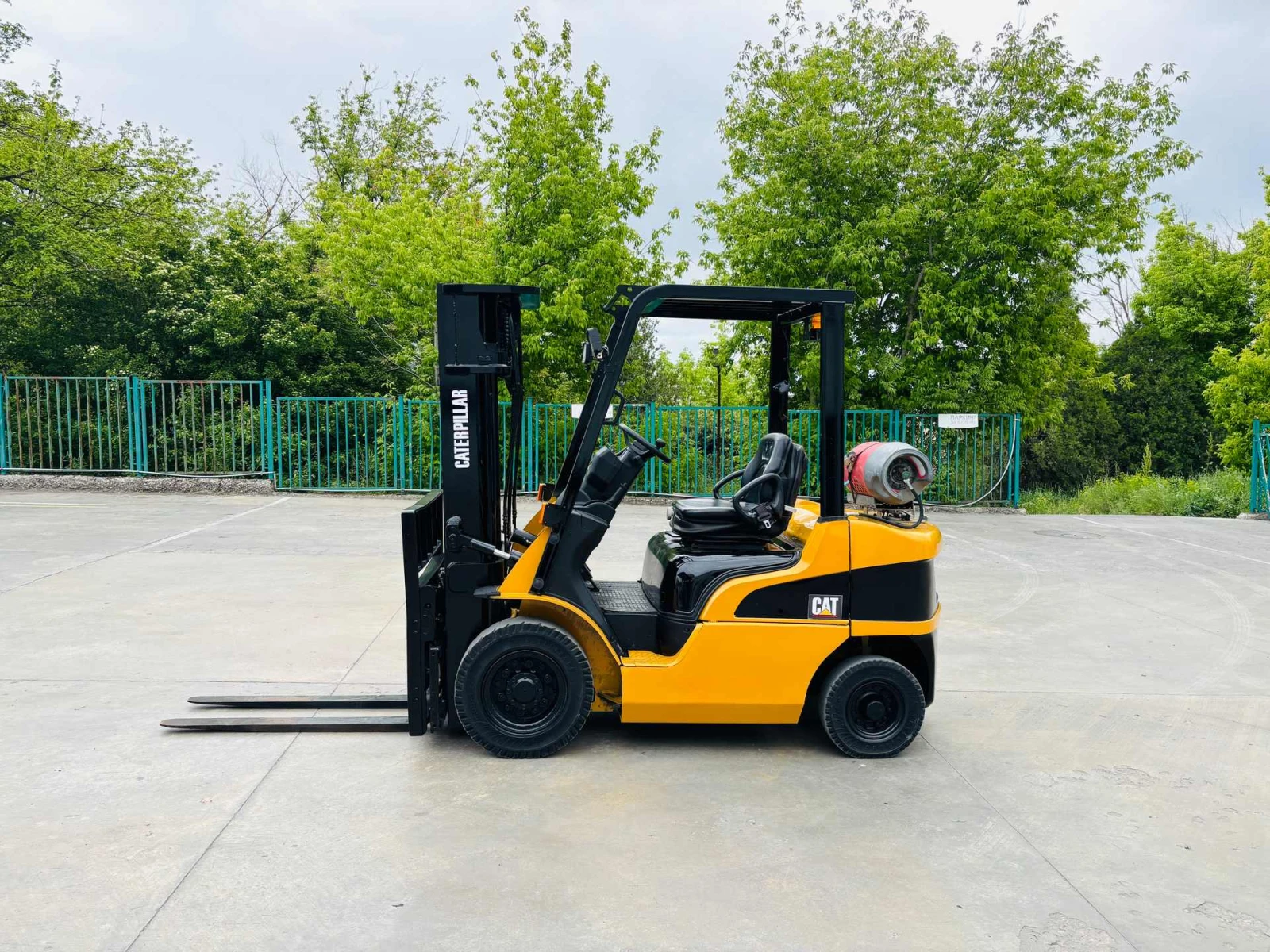  Cat      | Mobile.bg   2