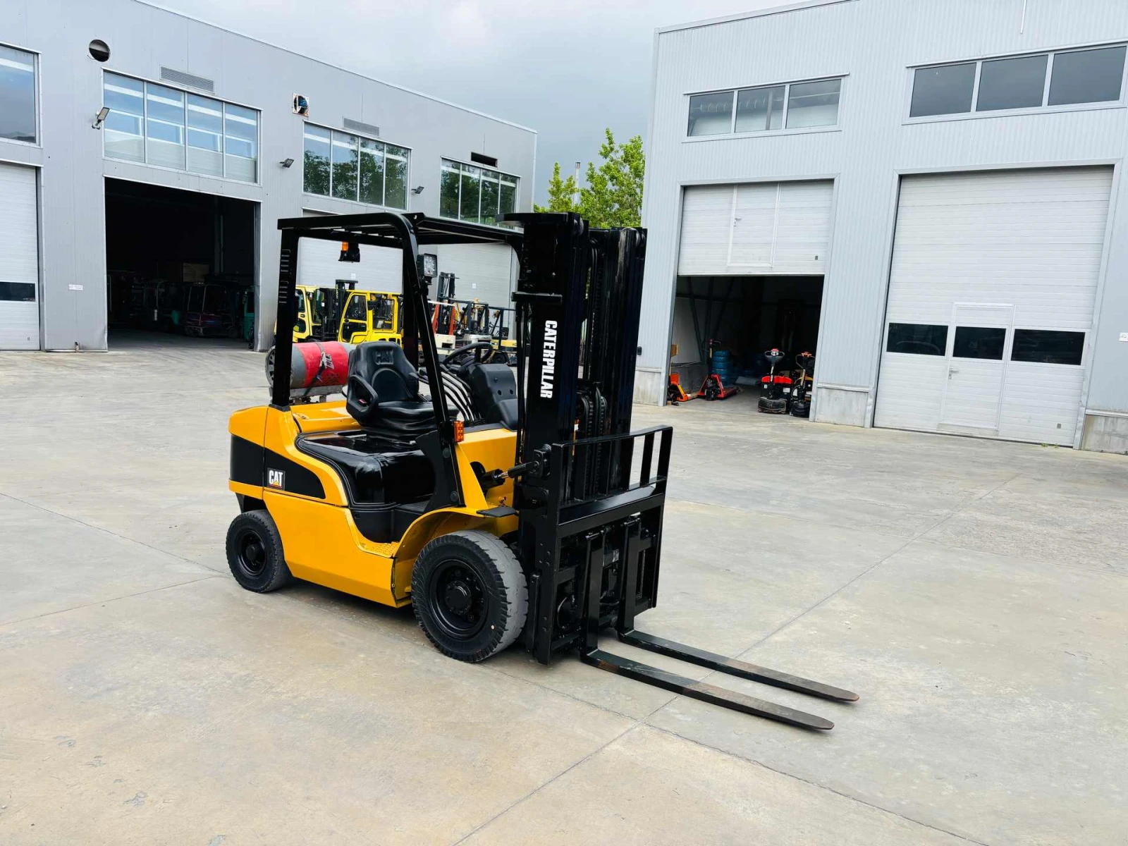  Cat      | Mobile.bg   7