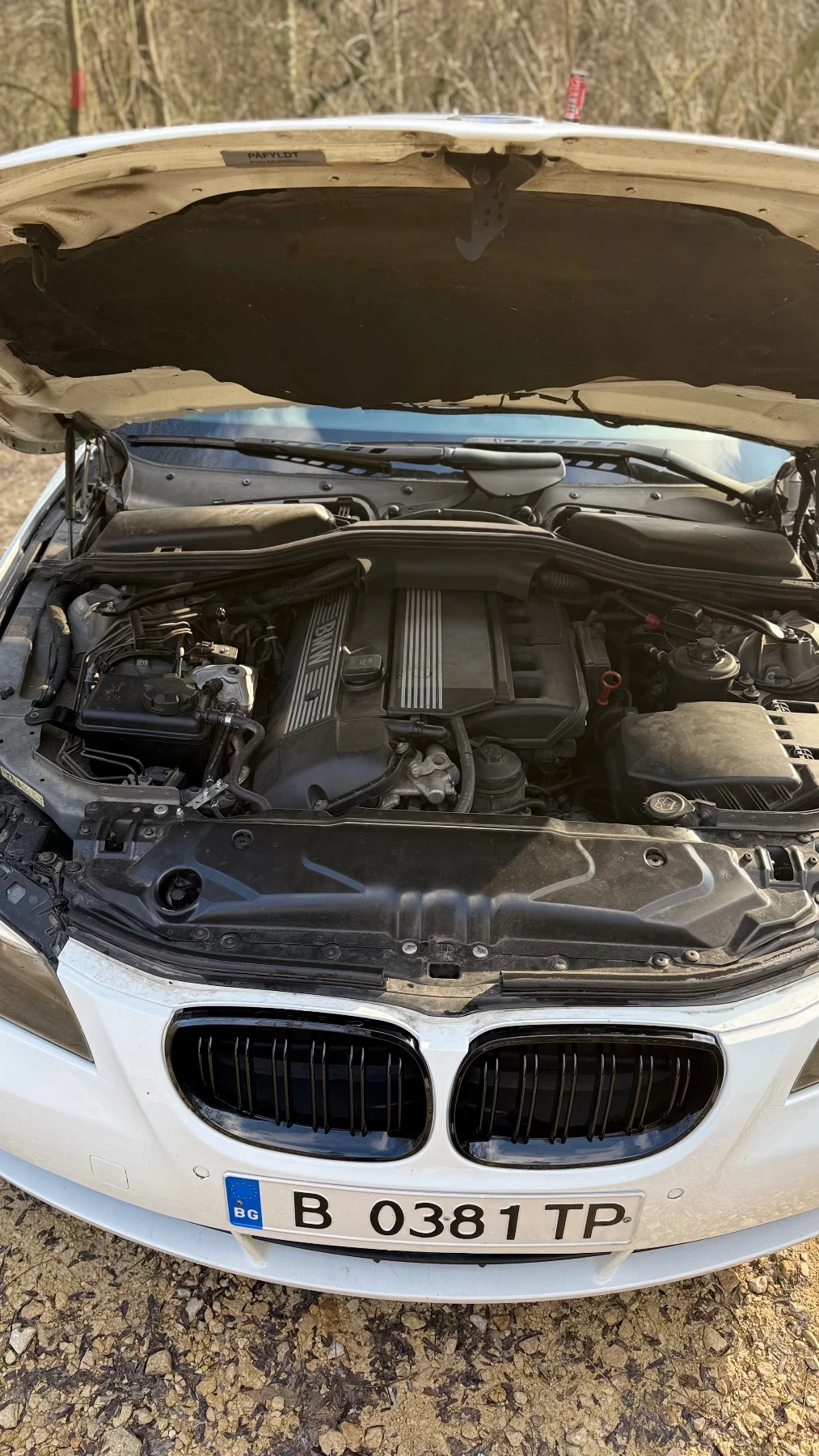 BMW 530 E60 - изображение 6