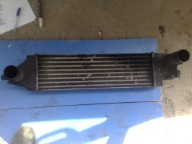 ������ �������� �����������