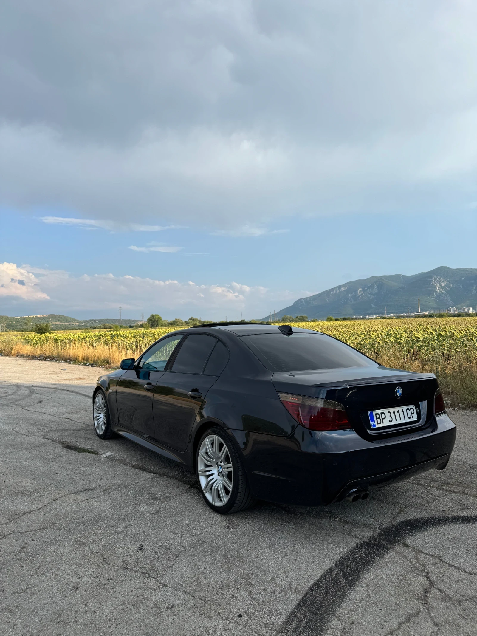 BMW 525 525d - изображение 5