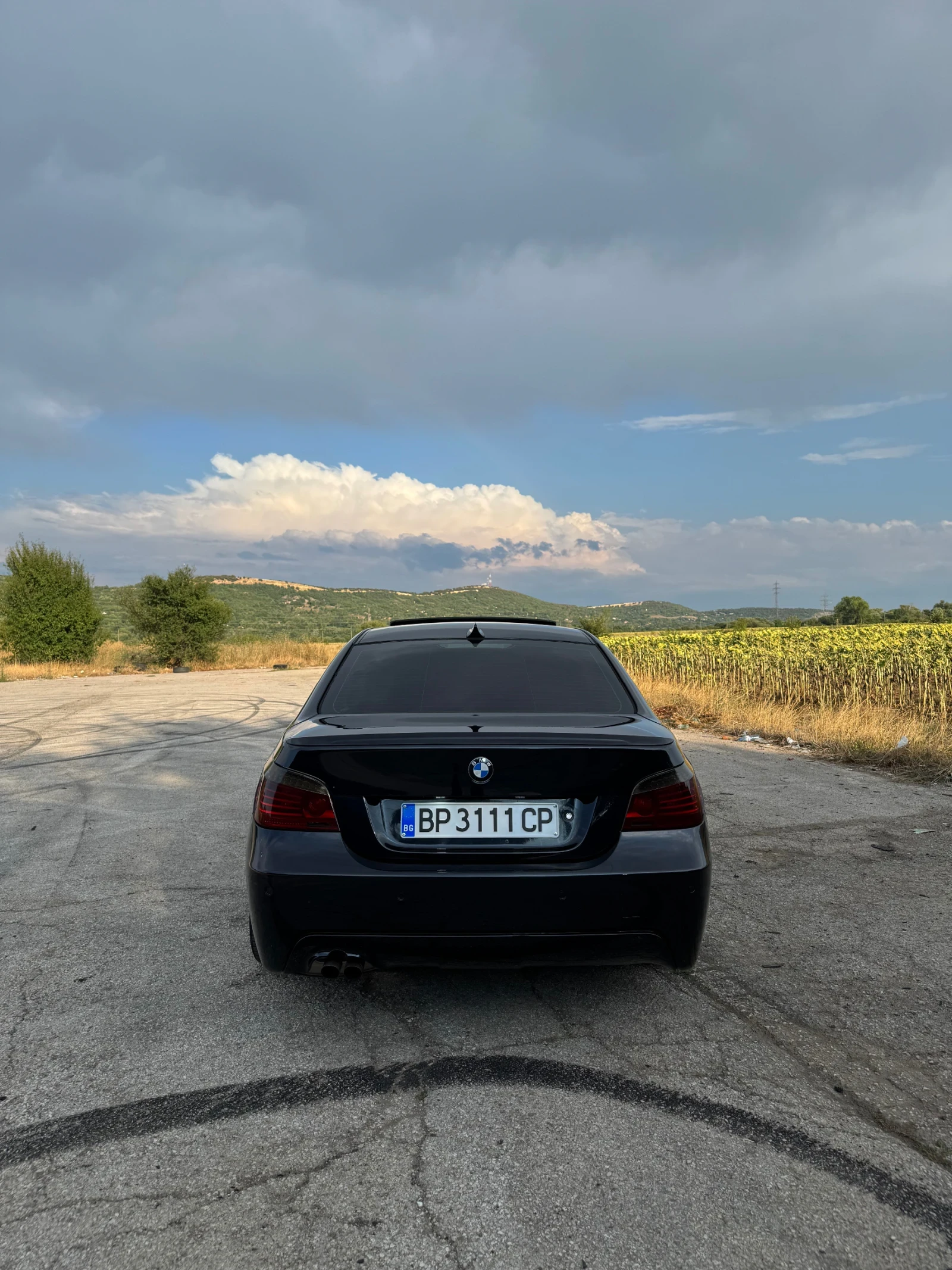 BMW 525 525d - изображение 4