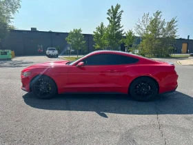 Ford Mustang * EcoBoost * CARFAX * ЦЕНА ДО БГ, снимка 3
