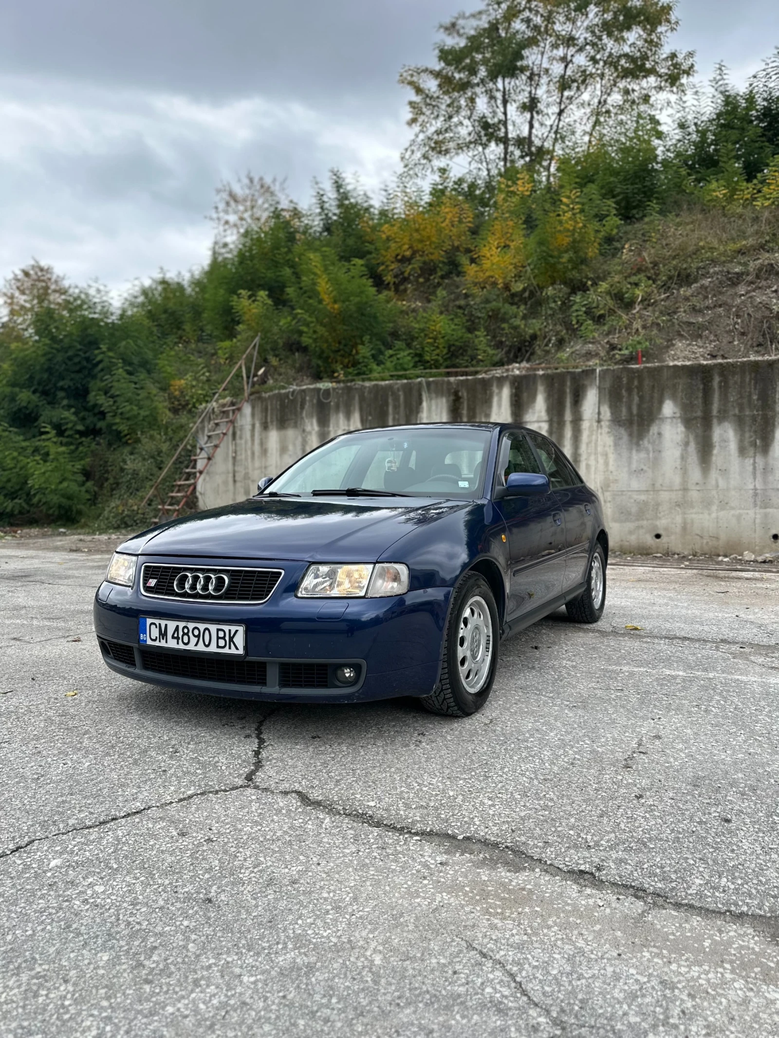 Audi A3 1.9 TDI, снимка 2 - Автомобили и джипове - 56505301
