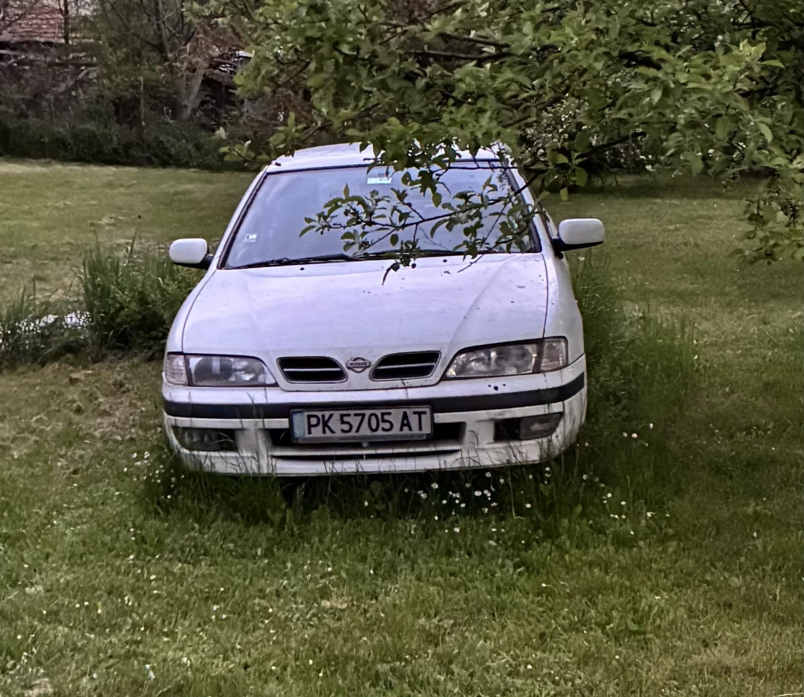 Nissan Primera