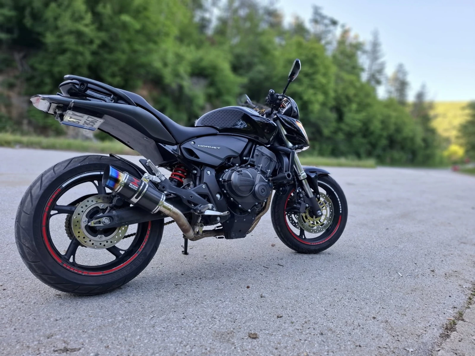 Honda Hornet CB600F PC41 - изображение 6